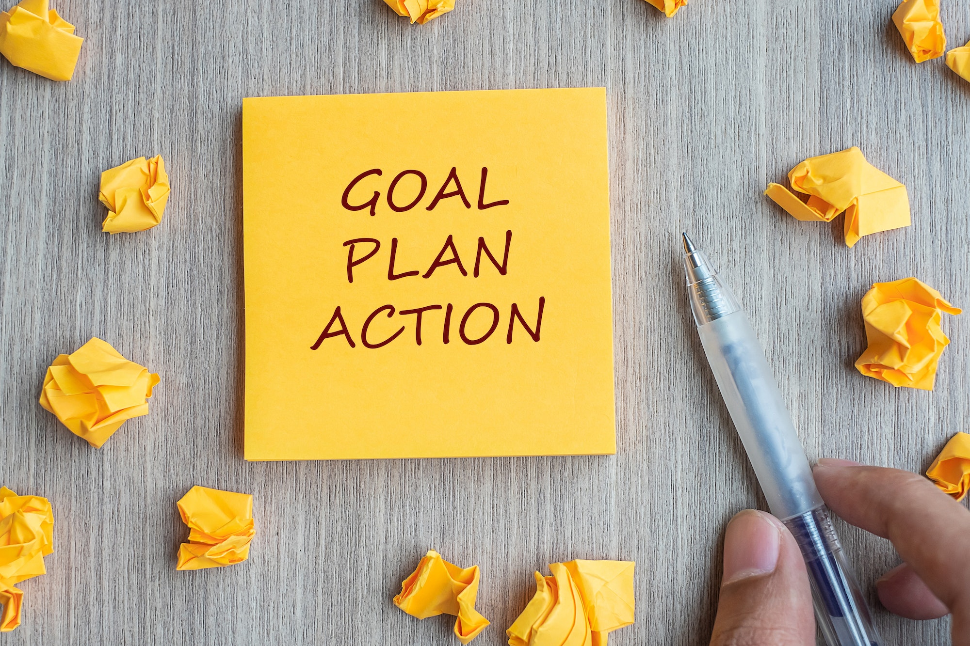 Goal plan action